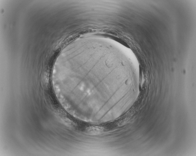 X0000085250691200704092049