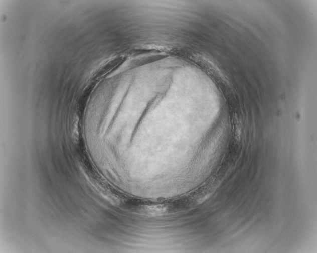 X0000085250692200704092049