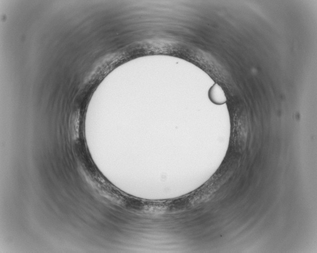 X0000085250694200704092049