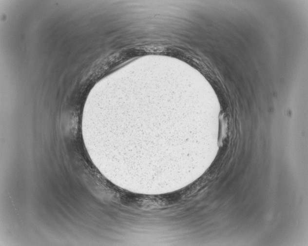 X0000085250697200704092049