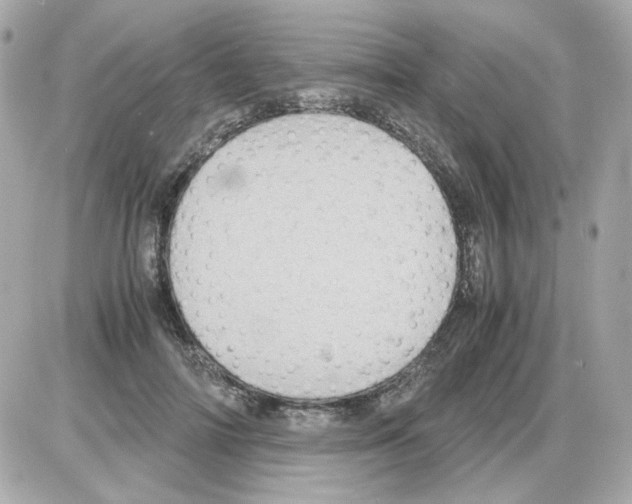 X0000085250698200704092049