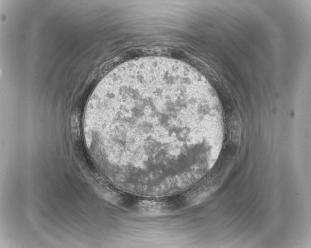 X0000085250699200704092049