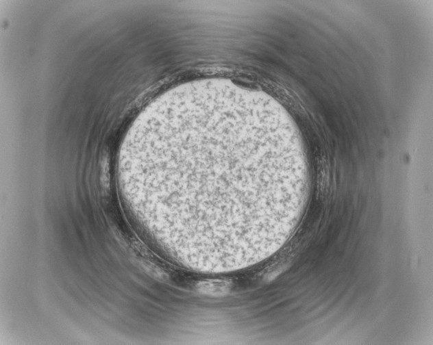 X0000085250700200704092049