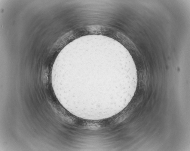 X0000085250702200704092049