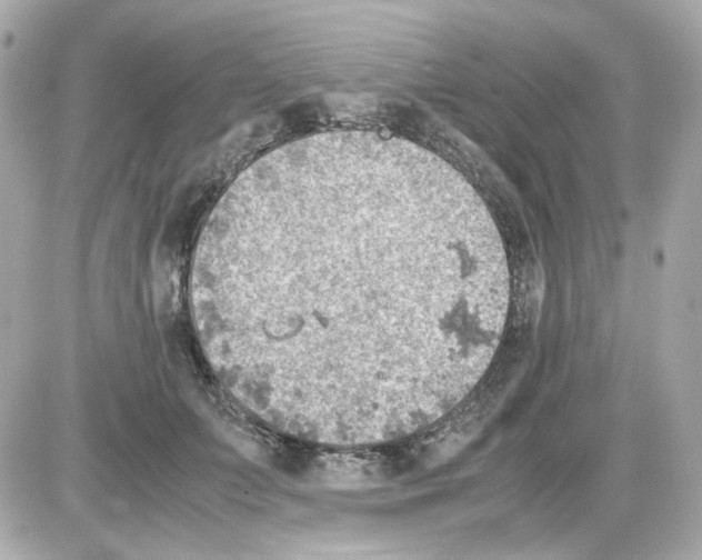 X0000085250703200704092049