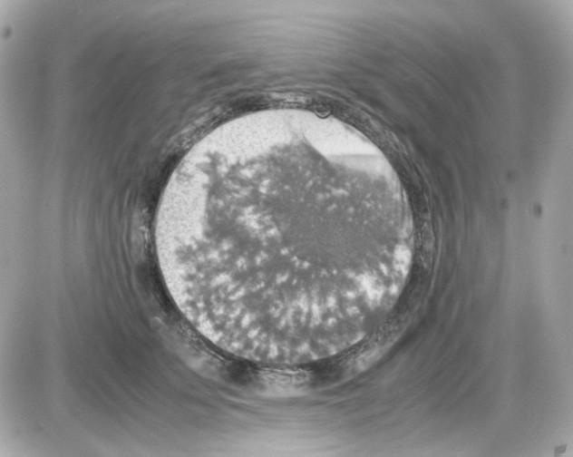 X0000085250707200704092049