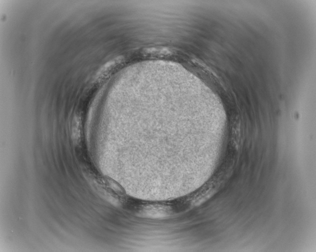 X0000085250708200704092049