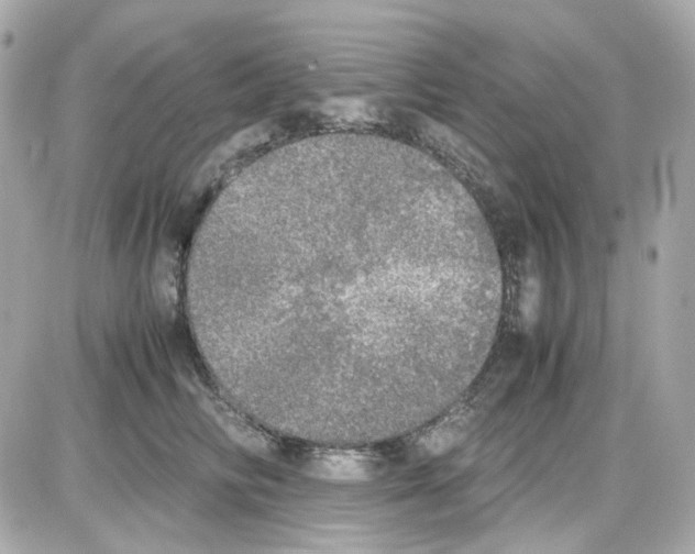 X0000085250710200704092049