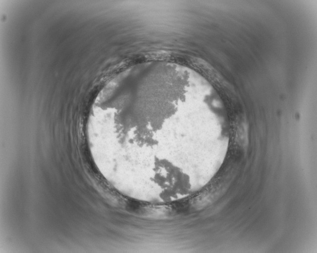 X0000085250711200704092049