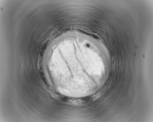 X0000085250712200704092049