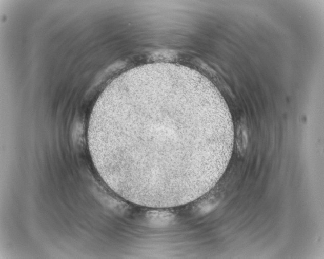 X0000085250714200704092049