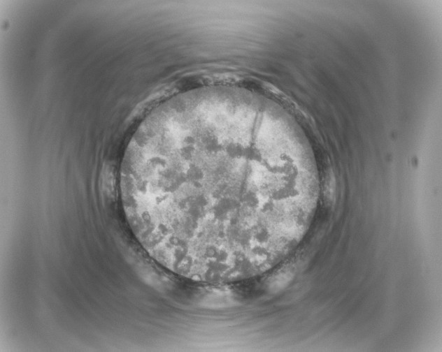 X0000085250715200704092049