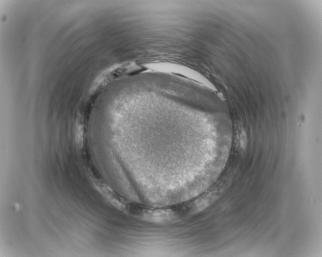 X0000085250716200704092049