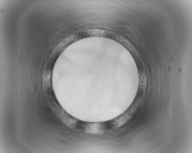 X0000085250717200704092049