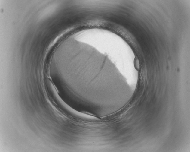 X0000085250722200704092048