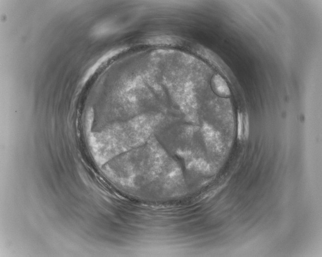 X0000085250723200704092048