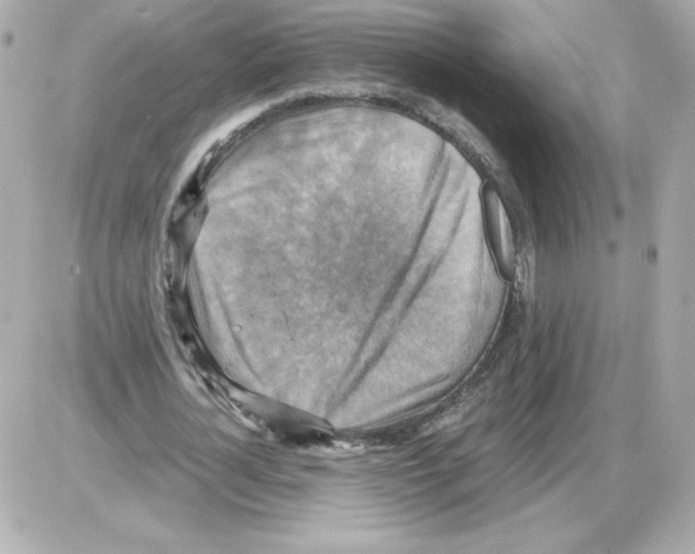 X0000085250724200704092048