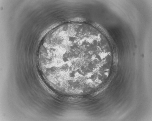 X0000085250725200704092048