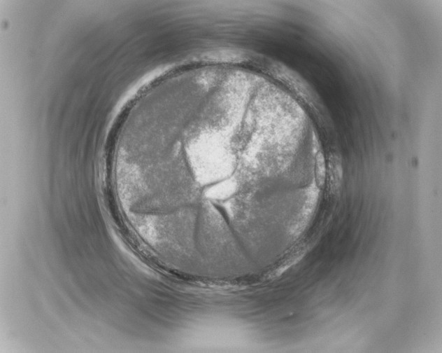 X0000085250726200704092048