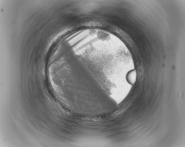 X0000085250727200704092048