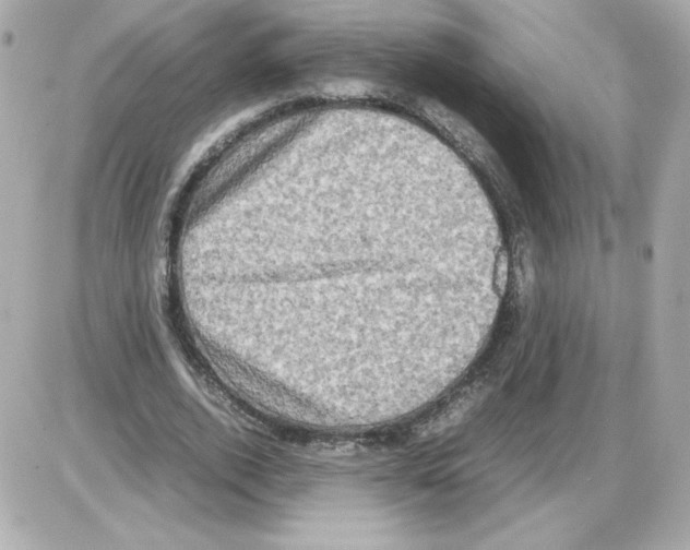 X0000085250728200704092048