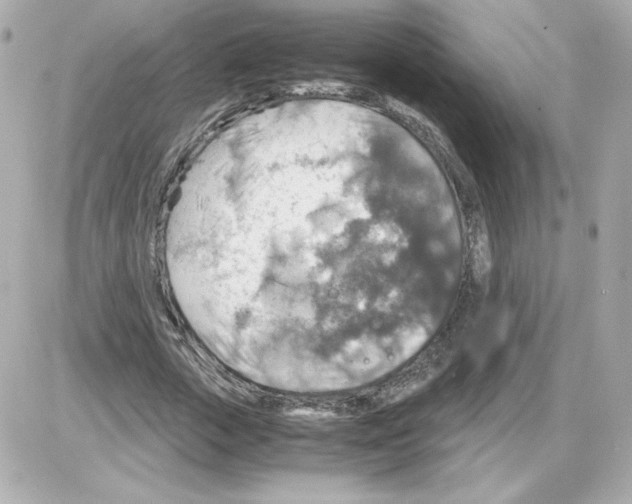 X0000085250729200704092048