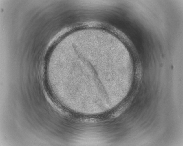 X0000085250730200704092048