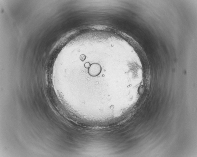 X0000085250734200704092048