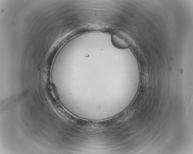 X0000085250736200704092048