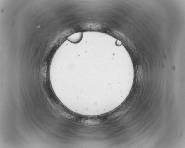 X0000085250739200704092048