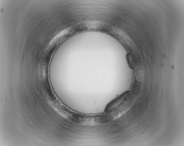 X0000085250740200704092048