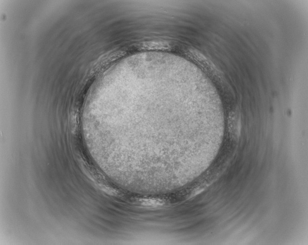 X0000085250741200704092048