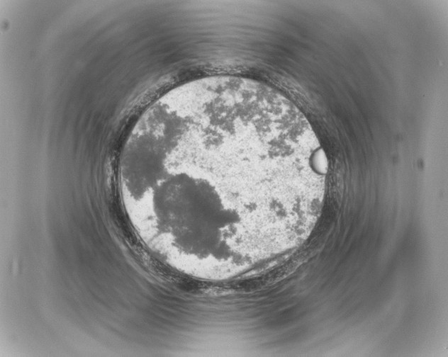 X0000085250742200704092048