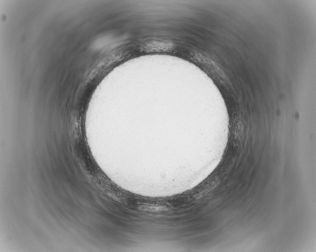 X0000085250743200704092048