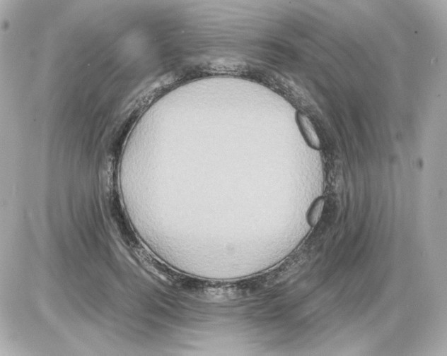 X0000085250744200704092048