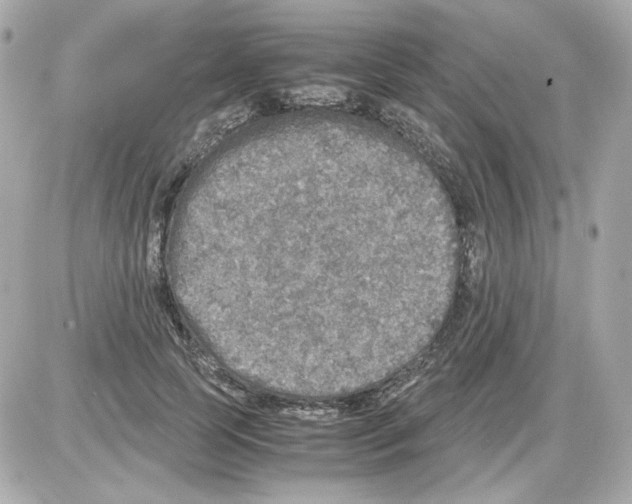 X0000085250745200704092048