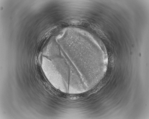 X0000085250746200704092048