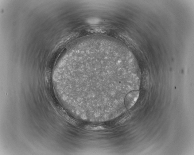 X0000085250747200704092048