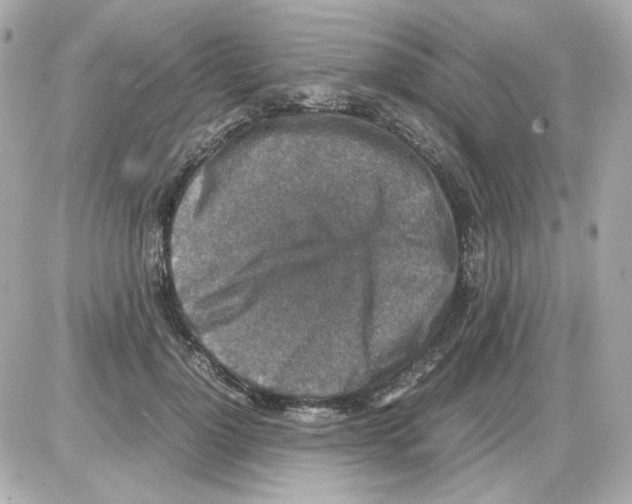 X0000085250748200704092048