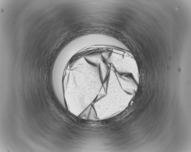 X0000085250750200704092048