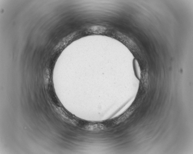 X0000085250752200704092048