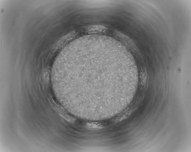 X0000085250753200704092048