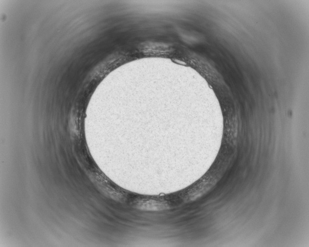 X0000085250755200704092048