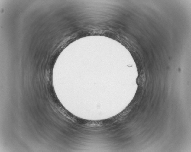 X0000085250756200704092048