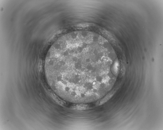 X0000085250758200704092048