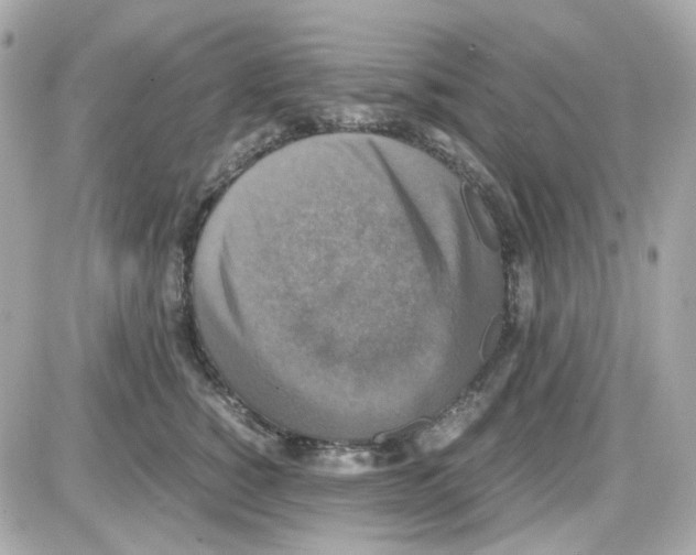 X0000085250760200704092048