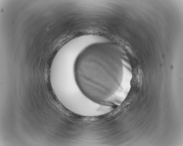 X0000085250762200704092049