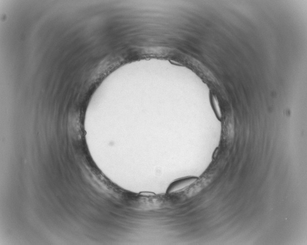 X0000085250764200704092049