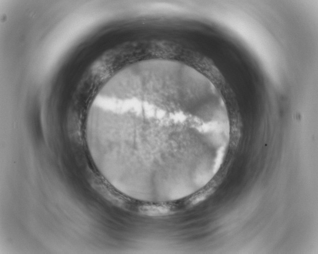 X0000085250765200704092049