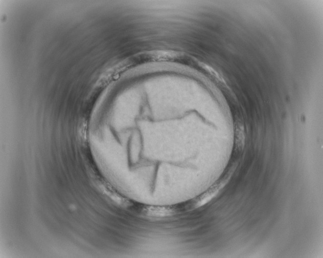 X0000085250766200704092049